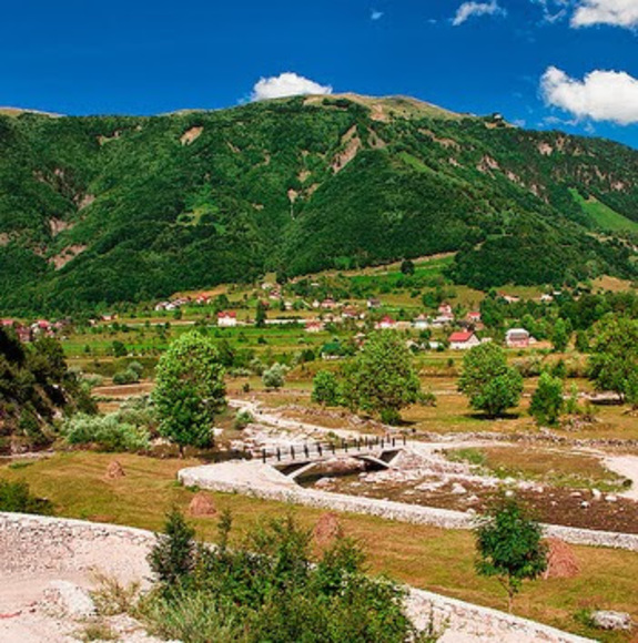 Meet your Posher, Benny - Picture 1 of 1